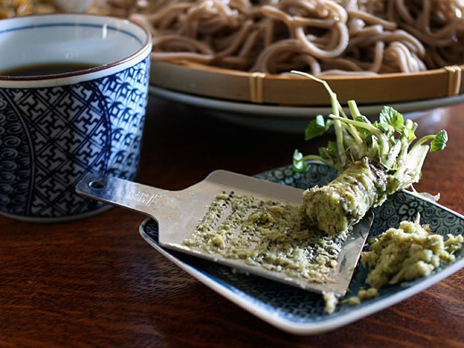 Wasabi soba  ワサビで蕎麦