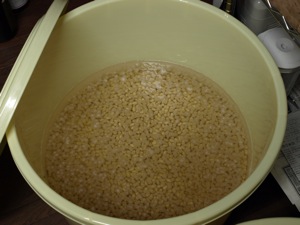 1大豆を水に浸ける
