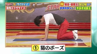 s-doubutsu exercise12