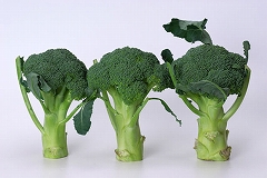 s-broccoli.jpg