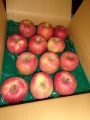 DSC02472.jpg