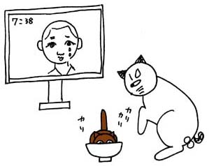 ご飯を食べる猫のチョコを見るニャン太郎