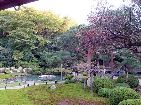 sei2014103114.jpg