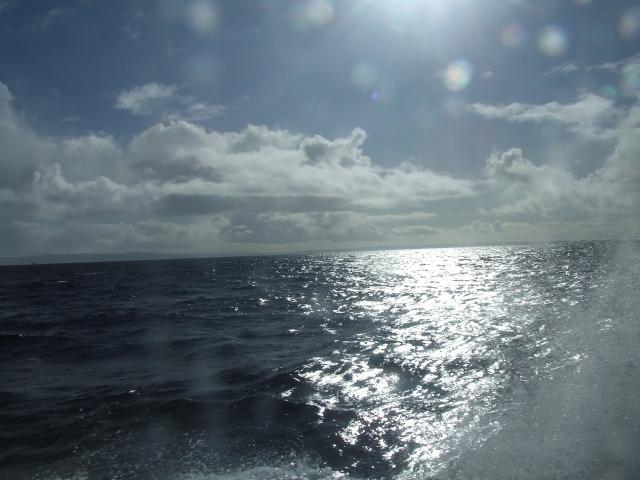 0227SEASURFACE_convert_20120227230447.jpg