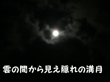 きれいな月♪