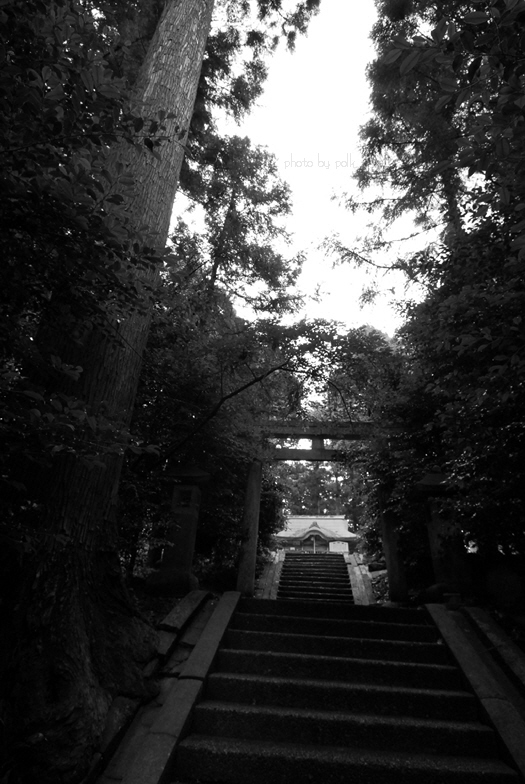 shrine_iwatowake_2010_7_25.jpg