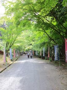 当初歩いた石山寺もでしたが、ここ三井寺も秋には紅葉が綺麗そうですね～(^^)