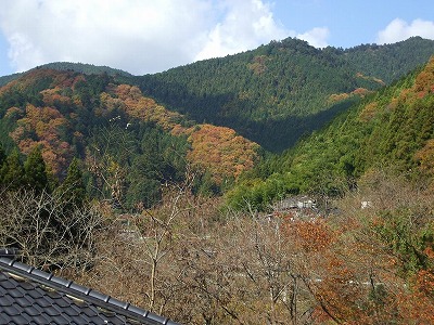 秋の山