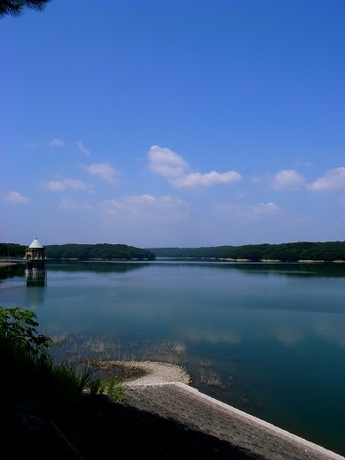 狭山湖 005