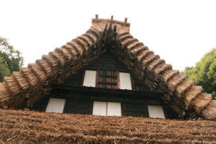 江向家の屋根