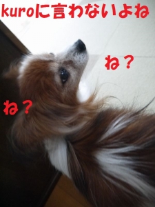 009nif.jpg