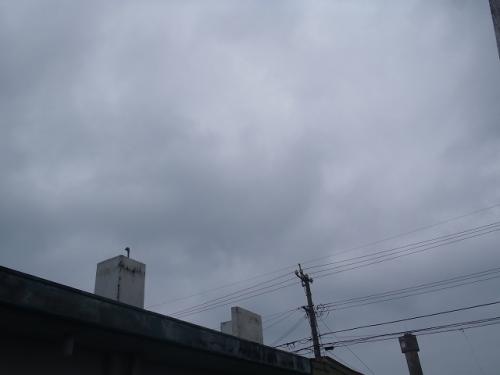 008_20120110171036.jpg