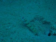 058_20120926175447.jpg