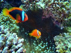 125_20111023192643.jpg
