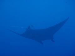 223_20120617175915.jpg