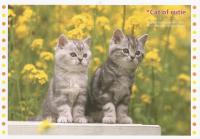 １００円カレンダー猫4月