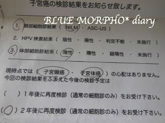 bluemorpho.diary.2013.12.9