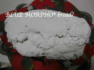 bluemorpho.bread?2013.12.11.2