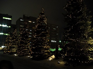 札幌パークホテルのツリー