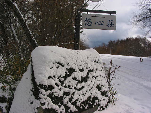 0116雪の朝 (1)