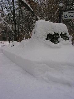 0211大雪終わる (1)