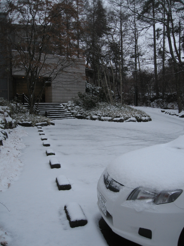 1202今朝は雪で～す (1)