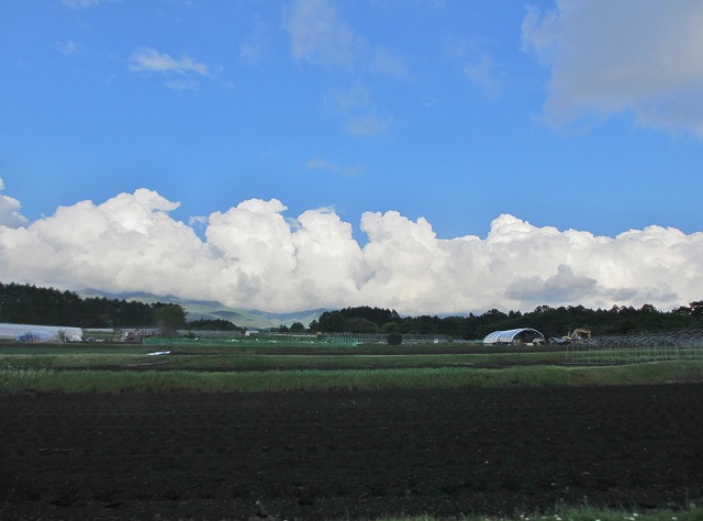 0610雲雲その後 (12)