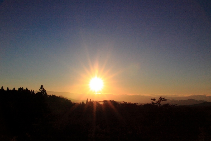 茶臼山高原の朝日２ (800x533)