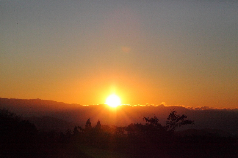 茶臼山高原の日の出 (800x533)