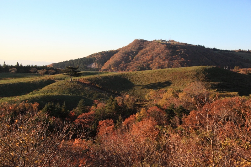 朝日で輝く茶臼山高原 (800x533)