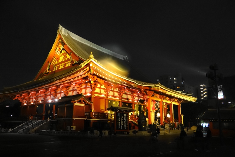 小雨の浅草寺本堂 (800x533)