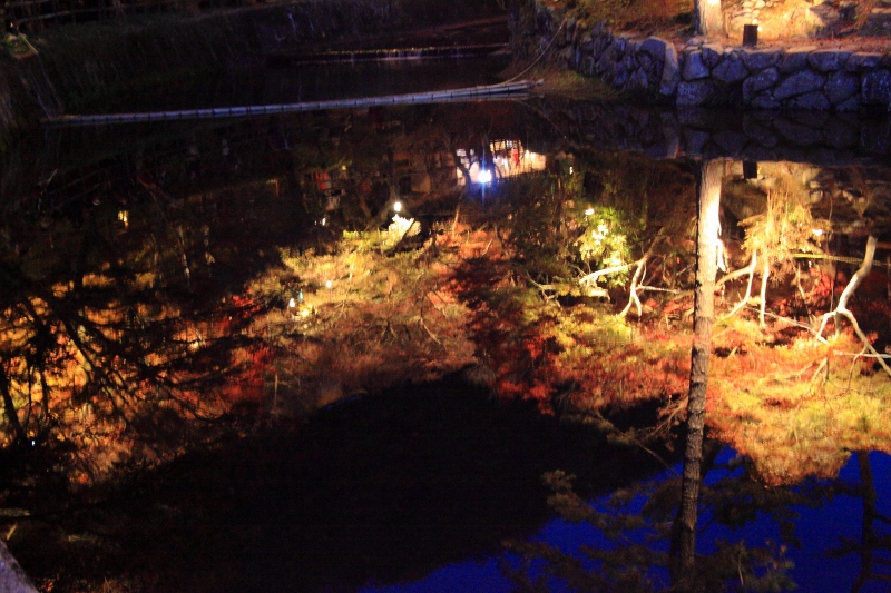 岩屋堂公園：紅葉ライトアップの映り込み (800x533)