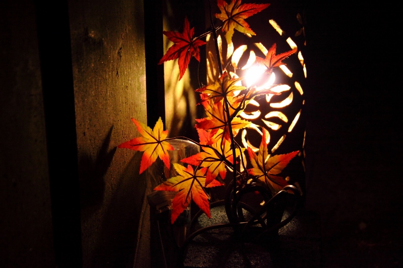 紅葉の竹灯り (800x533)