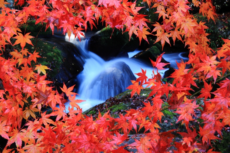 王滝渓谷：紅葉の覗き窓 (800x533)