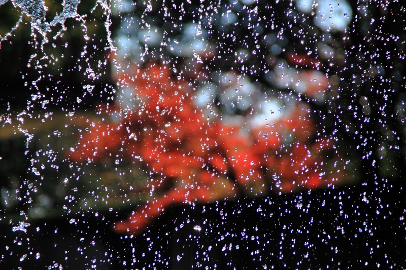 紅葉の水カーテン (800x533)