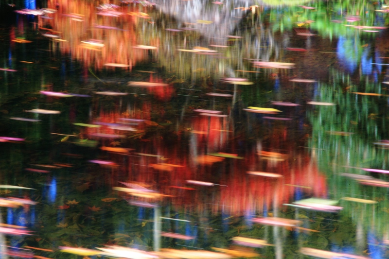 水面の虹筏 (800x533)